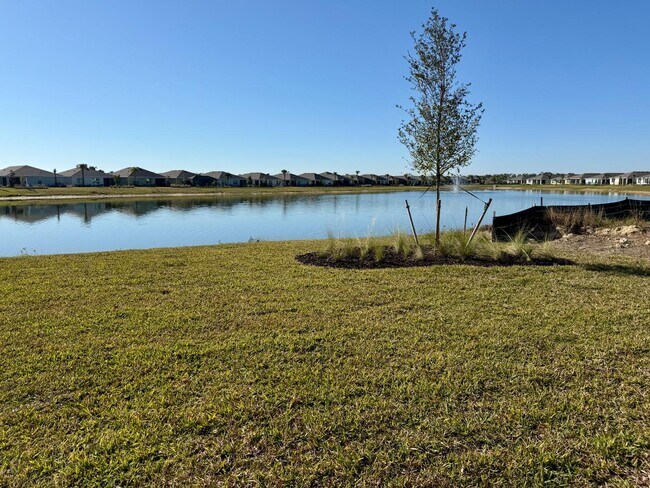 Building Photo - 17827 Shade Tree Loop