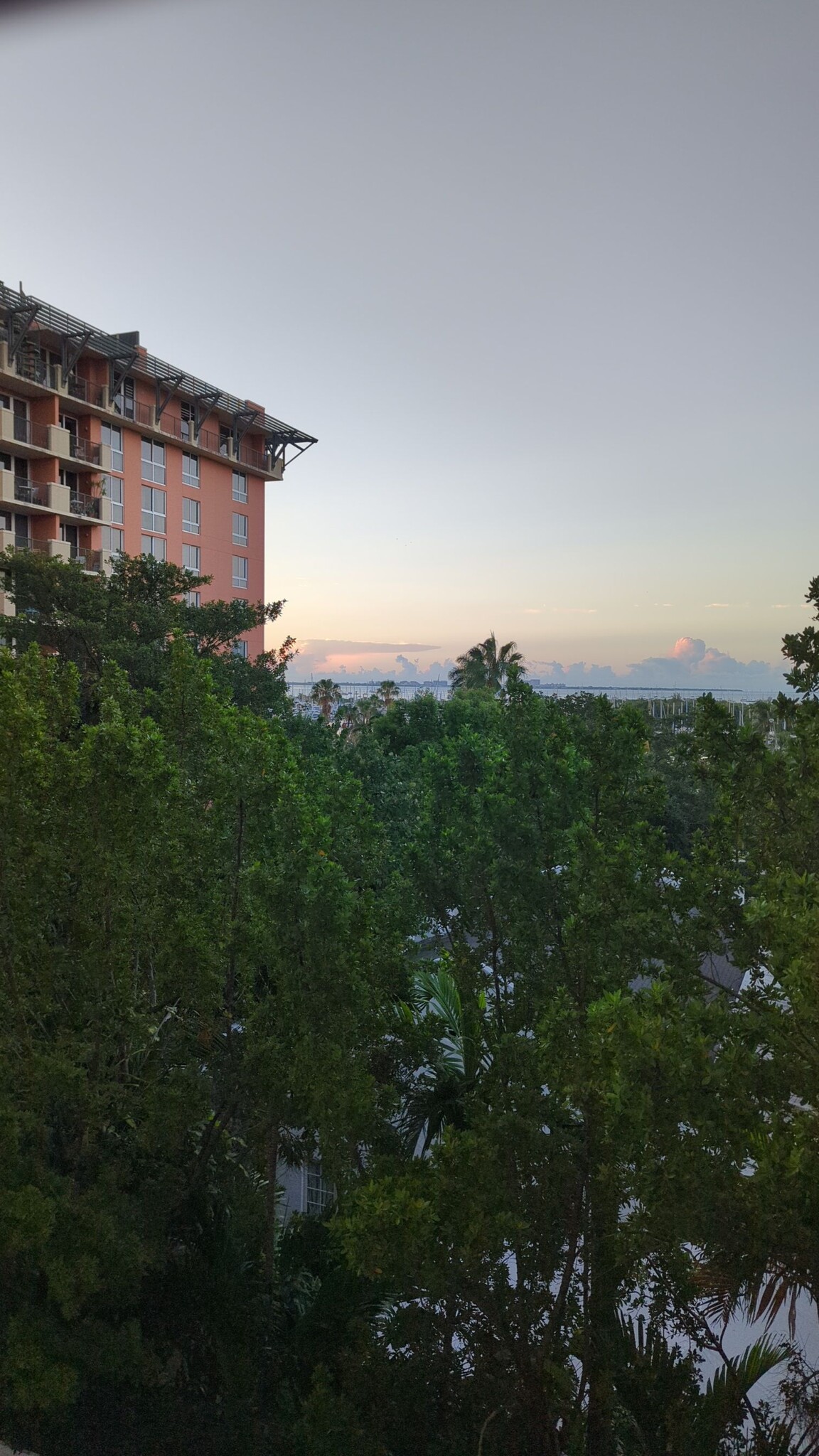 Building Photo - 2951 S Bayshore Dr