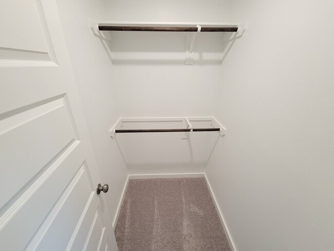 Building Photo - 2905 Terrace Grove Dr