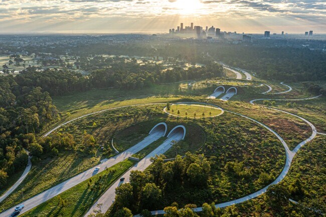 Building Photo - 160 Birdsall St