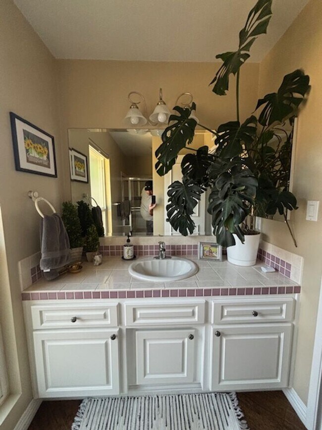 Building Photo - Beautiful 3 Bedroom / 2 Bathroom Home in S...