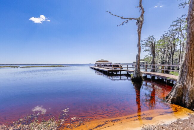 Building Photo - 9525 White Sand Ct