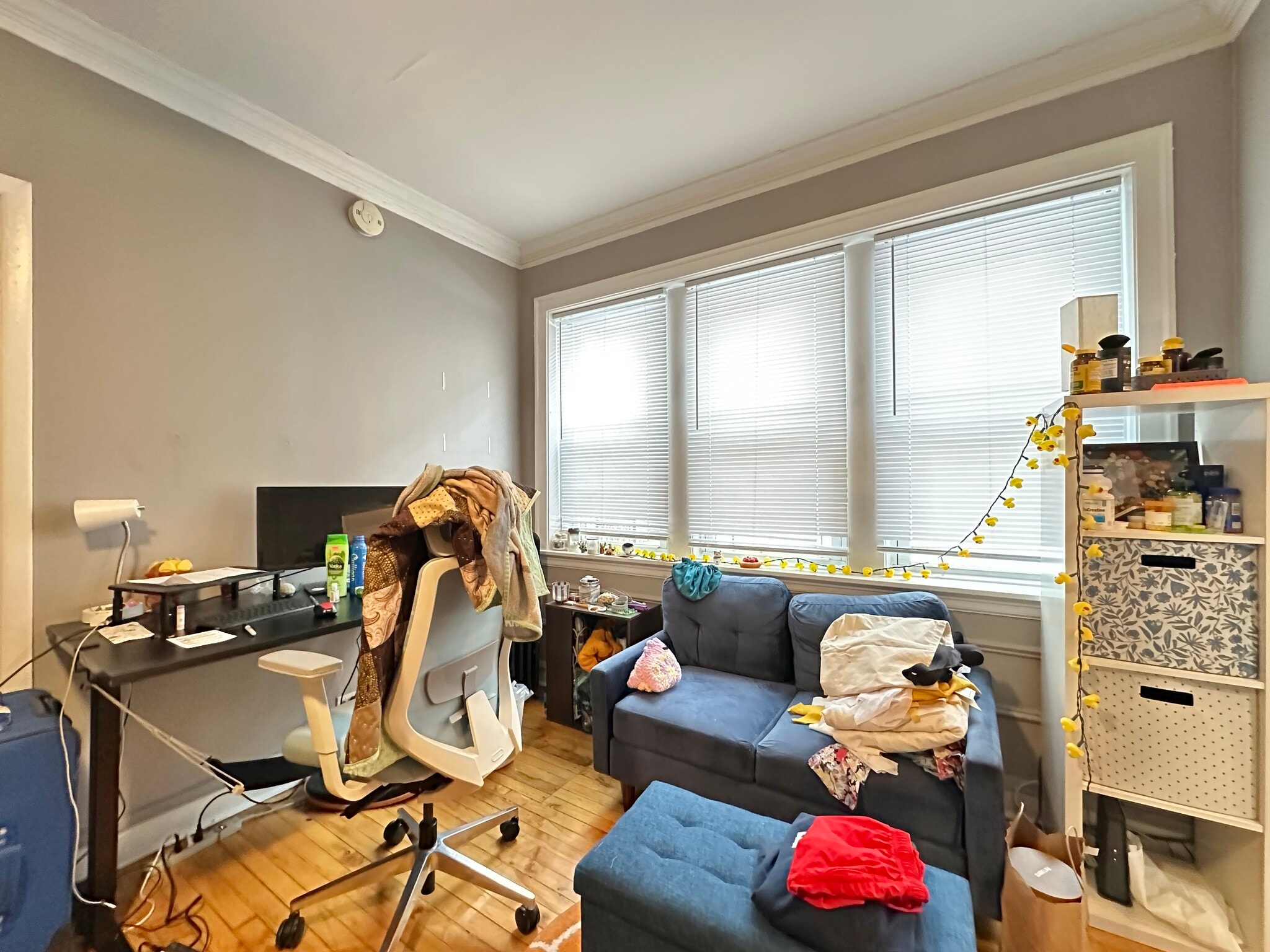 Building Photo - 5516 N Kenmore Ave