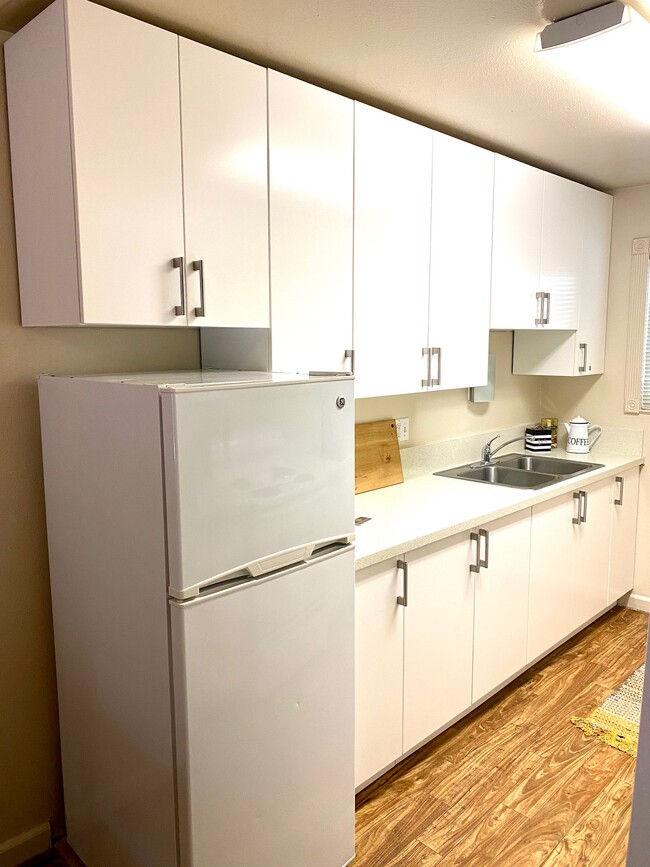 Shared Kitchen - Allegro Dorm-Style Apartments