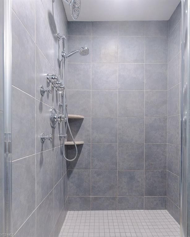 Master shower - 1263 W 74th St.