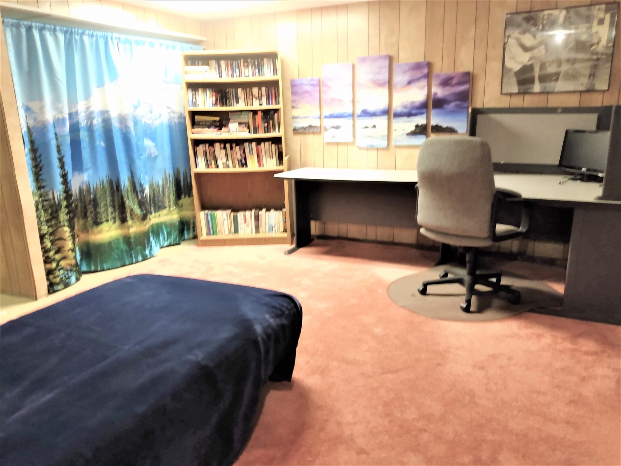 Basement bonus room. Office/ guest bedroom - 508 N Bermont St
