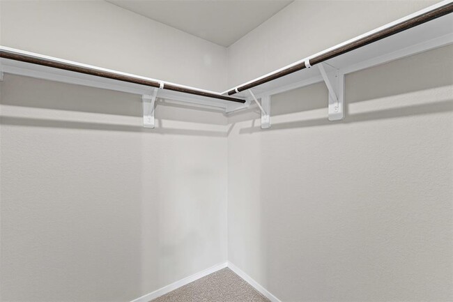 Building Photo - 8019 Camphor Ct