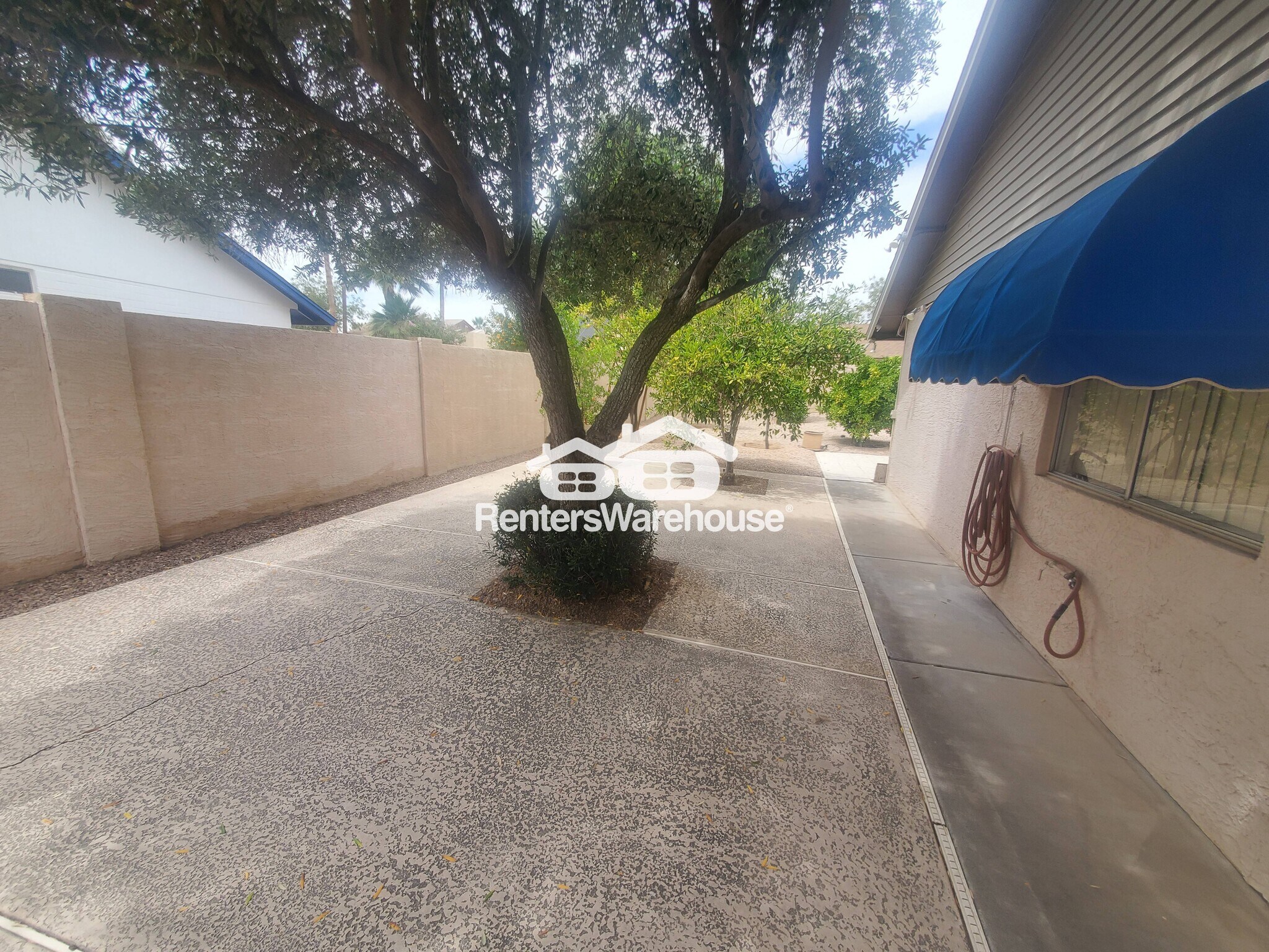 Building Photo - 5136 E Tierra Buena Ln