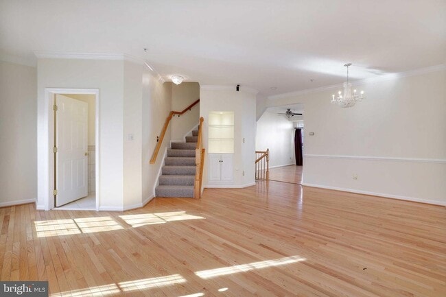 Building Photo - 409 Phelps St