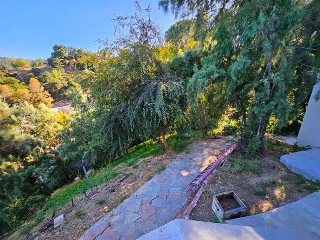 Building Photo - 4515 San Taela Ct