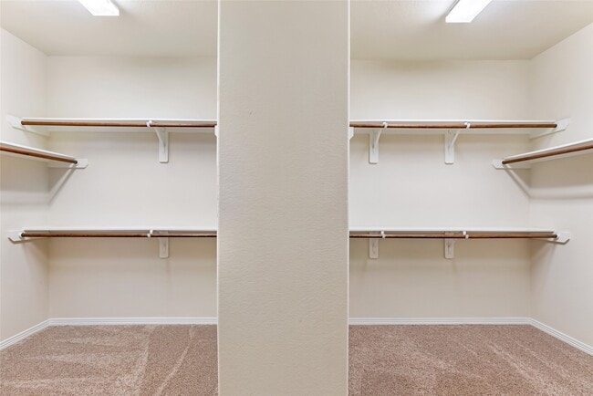 Building Photo - 2817 Shadow Woods Ct