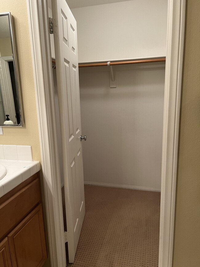 walk-in closest - 86 Trailing Vine