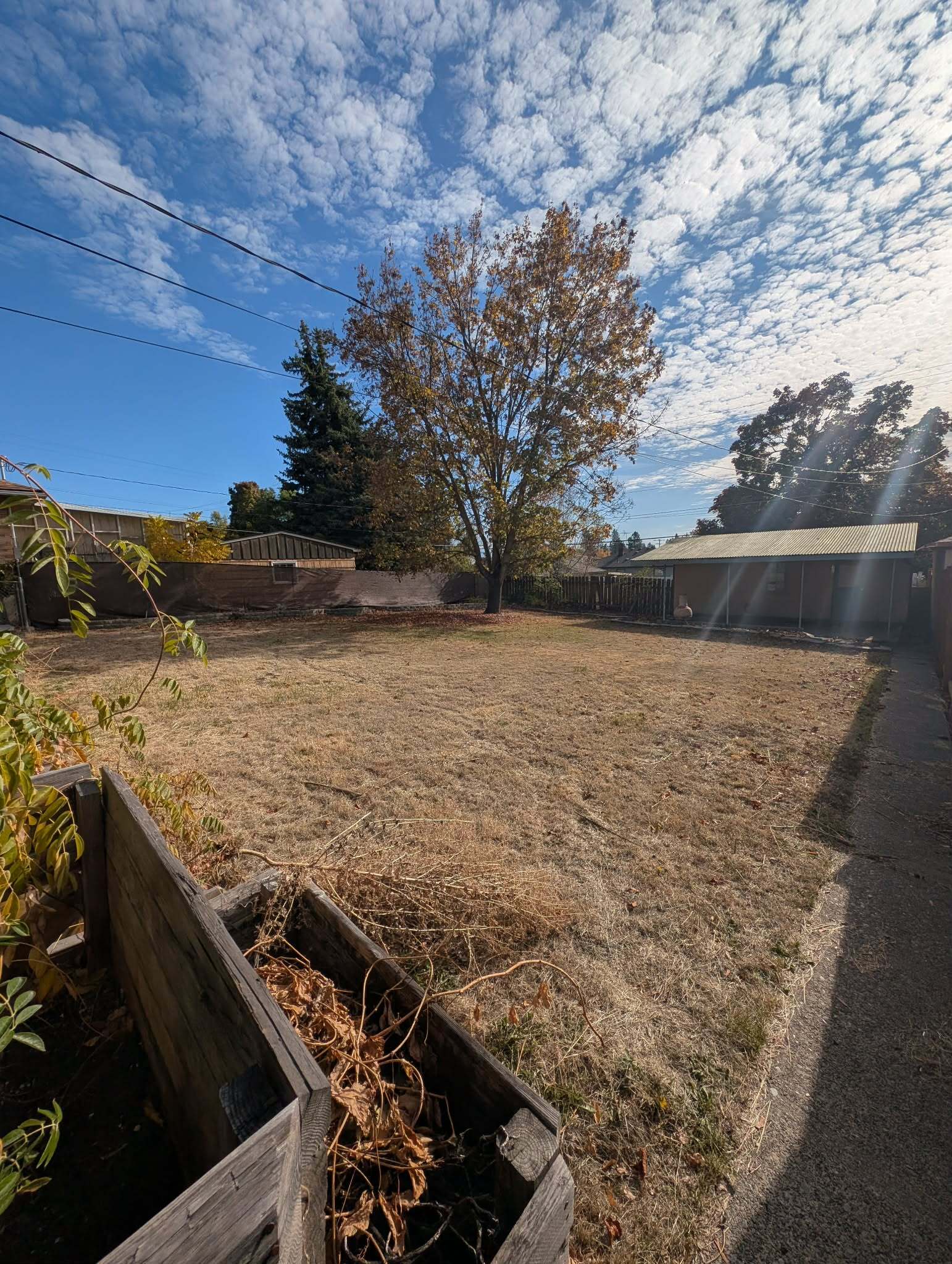 Backyard - 2907 W Princeton Ave