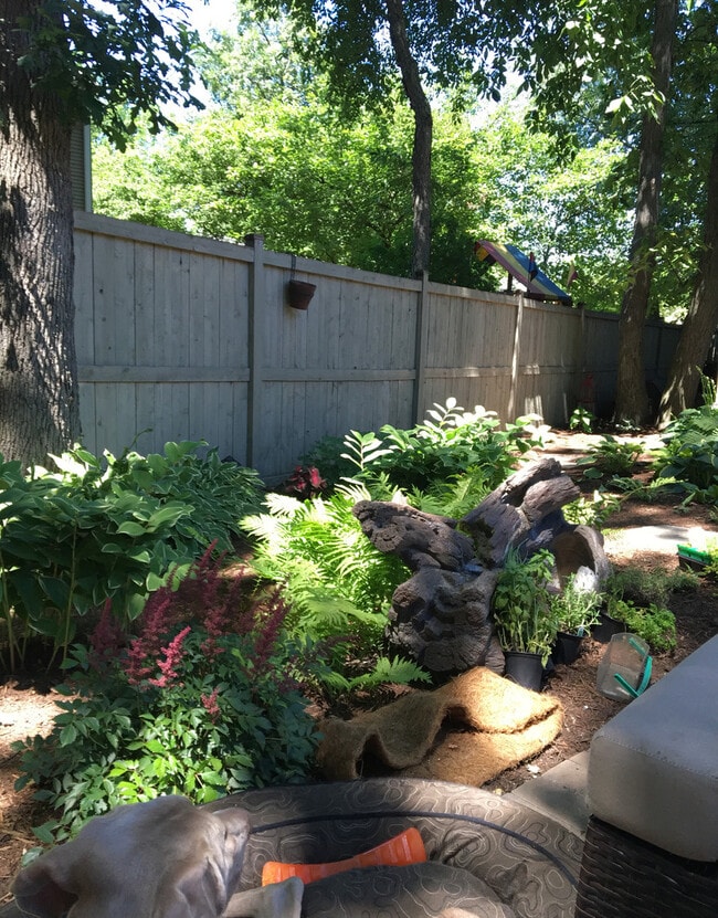 Building Photo - 459 Rock Hall Cir