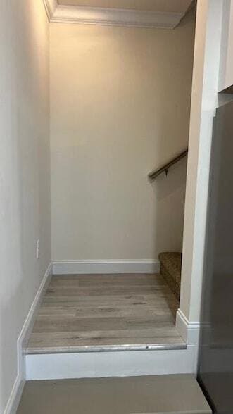 Building Photo - 1914 Cypress Ln