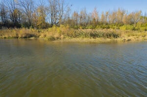 Building Photo - 1215 Corporate Dr