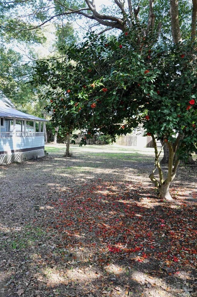 Building Photo - 4600 Forsyth St