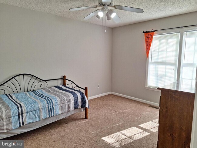 Building Photo - 12 Albano Ct