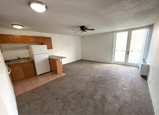 Building Photo - Studio Apartment in DU Area-Parking and Storage!