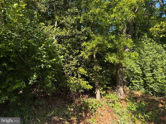 Building Photo - 607 Concerto Ln