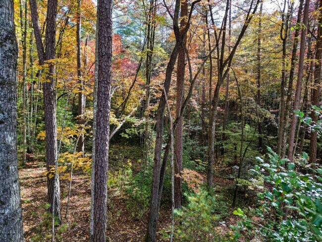 Building Photo - 60 Deer Vly Ln