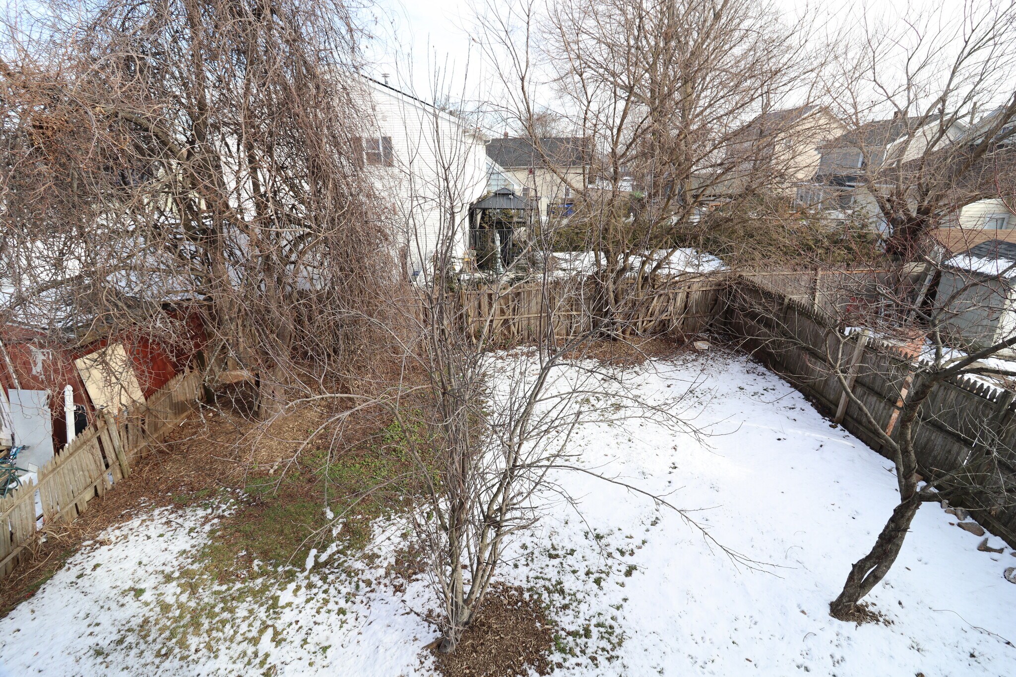 Back yard view - 356 Beechmont Ave