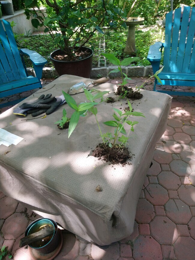 24 Jervis Rd 24 Jervis Rd Yonkers NY 10705 Apartment Finder