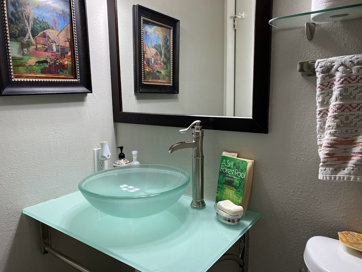 Guest bath - 421 S Balsam St