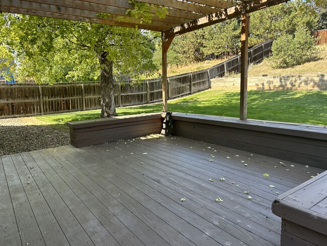 Backyard - 748 Eaton Cir