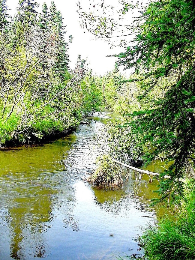 Building Photo - Huge Two Bedroom On the Creek in South Anc...
