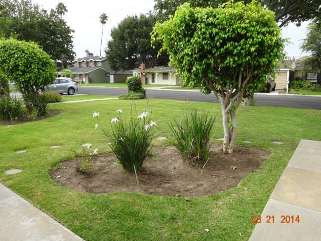 Building Photo - 382 La Perle Pl