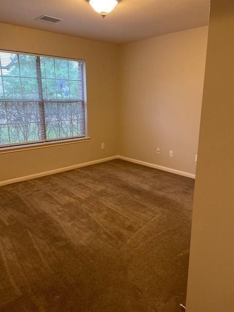 Building Photo - 3834 Pebble Garden Ln