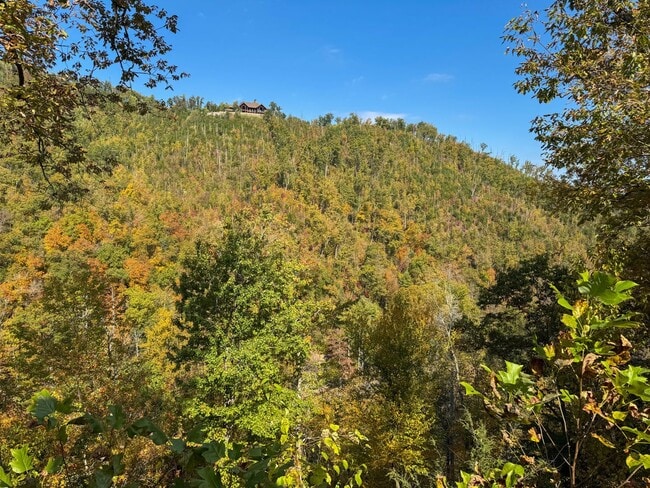 Building Photo - PEACEFUL LIVING.....SECLUSION