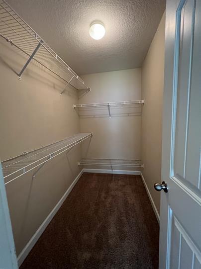 Building Photo - 233 Augusta Way