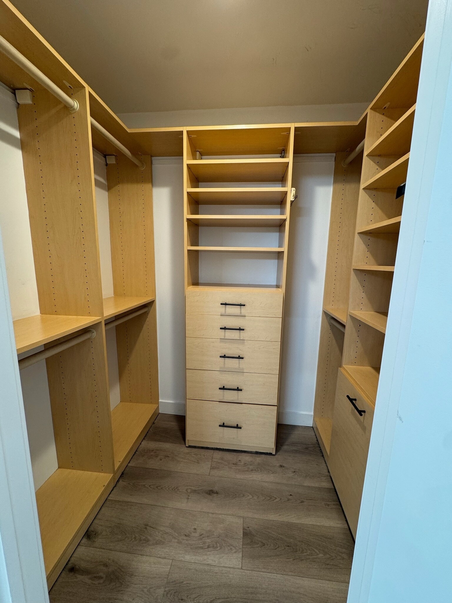 Primary Walk-in Closet - 910 N Curson Ave