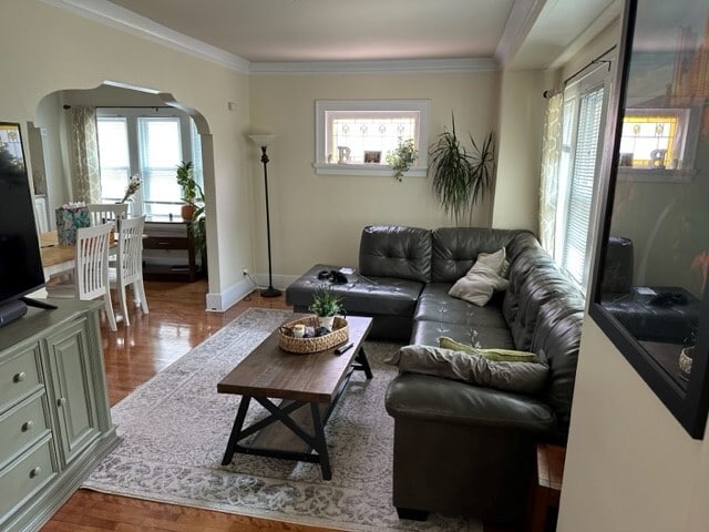 Living Room - 2062 Ludington Ave