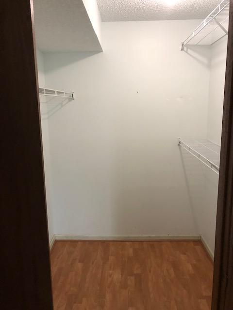 Walk-in closet - 520 Biesterfield Rd