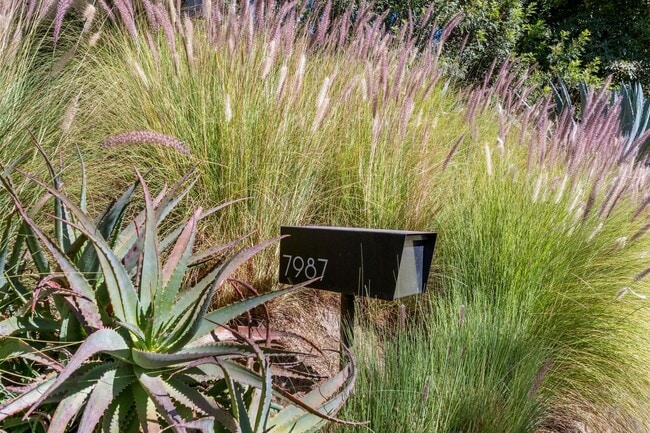 Building Photo - 3 Bed / 3 Bath Private Mid-Century Oasis with Pool, Detached Studio & Canyon Views