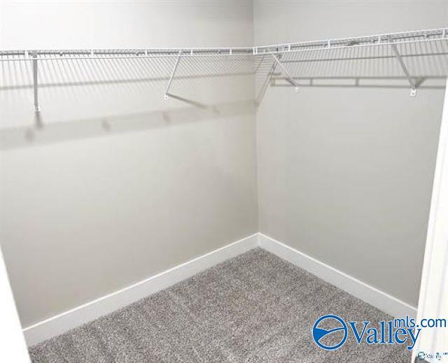 Building Photo - 429 Tillane Pk Cir