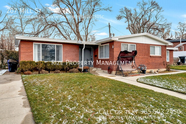 Building Photo - 207 Mill St