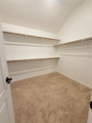Building Photo - 10000 White Pine Dr