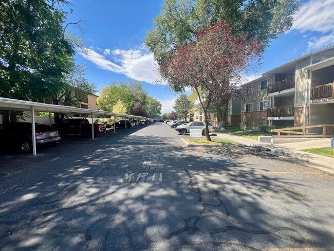 Building Photo - Cozy 3B/1 Bath Apartment in Millcreek- more pics soon!