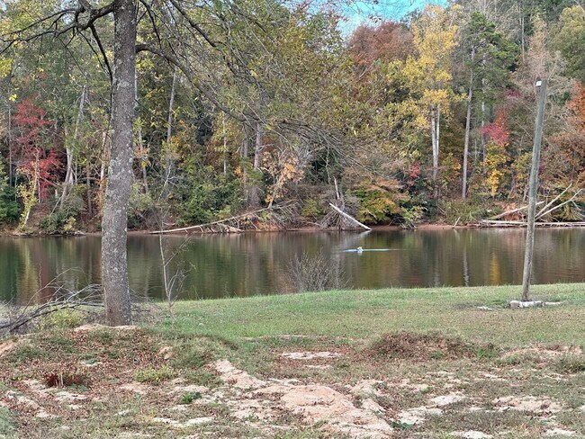 Building Photo - 302 Catawba Ave