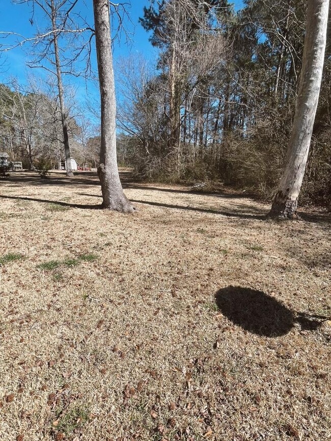 Building Photo - 1035 Haws Run Rd