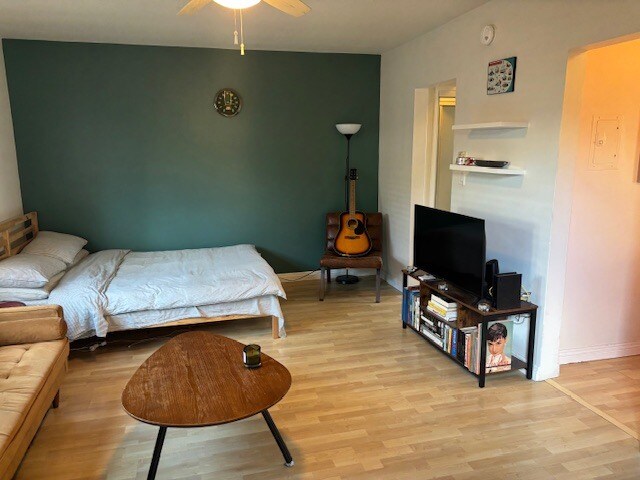 current tenant's layout, main room, hallway between guitar & TV leads to bthroom - 110 Brooks Ave