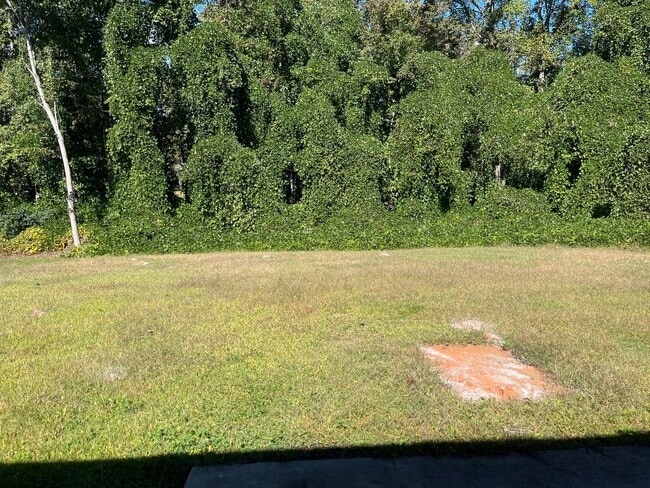 Building Photo - Charming 3/2 Home in Boiling Springs!