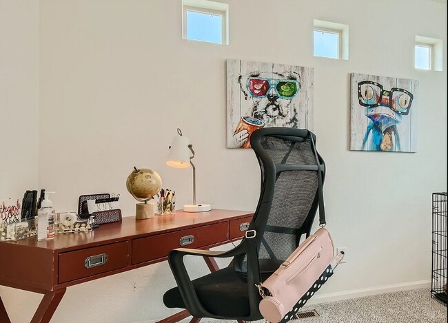 Building Photo - 10003 Yampa Ct