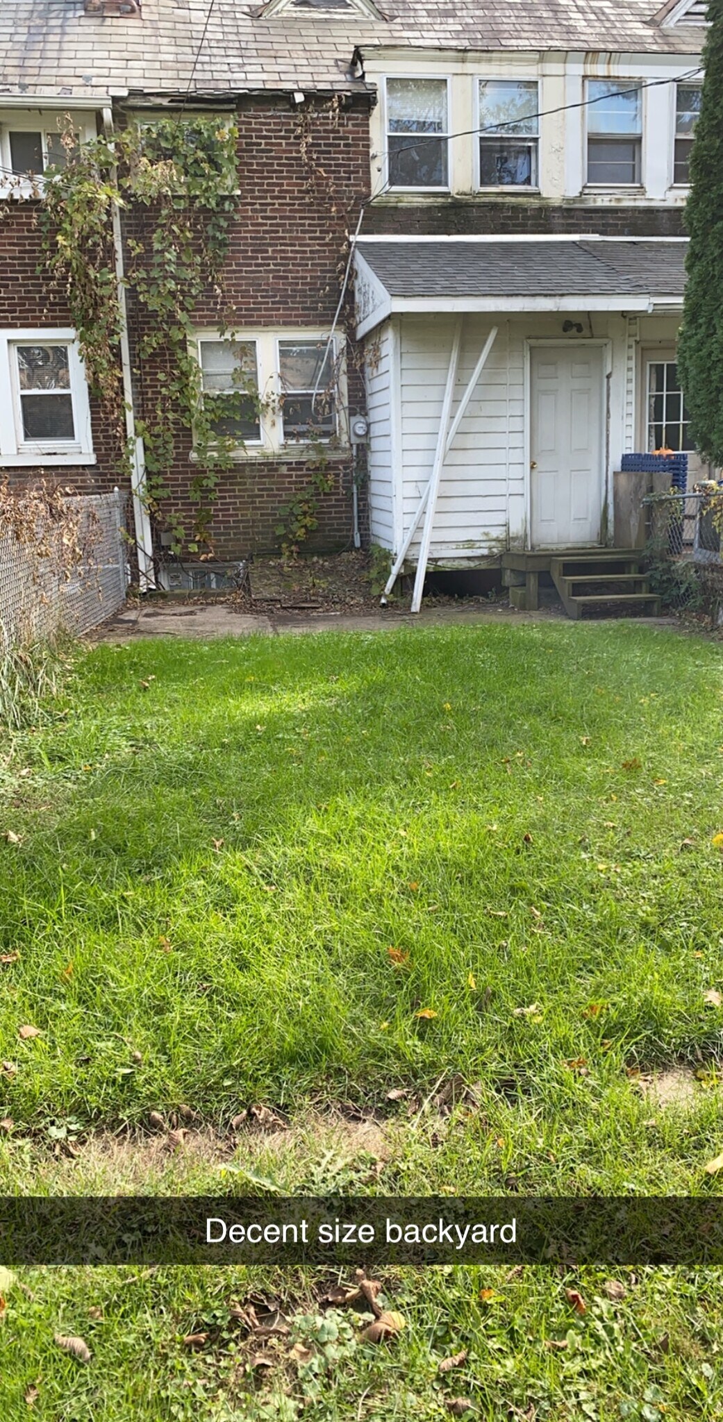 Back yard - 1682 W 15th St