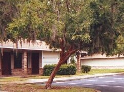 Building Photo - Willows Village
