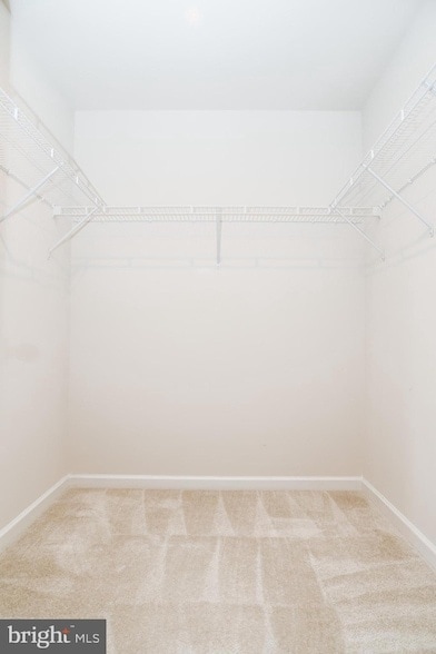 Building Photo - 118 Charlotte St